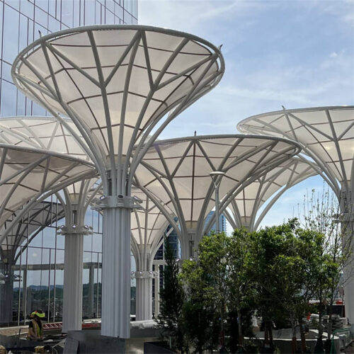 Overhead Canopy