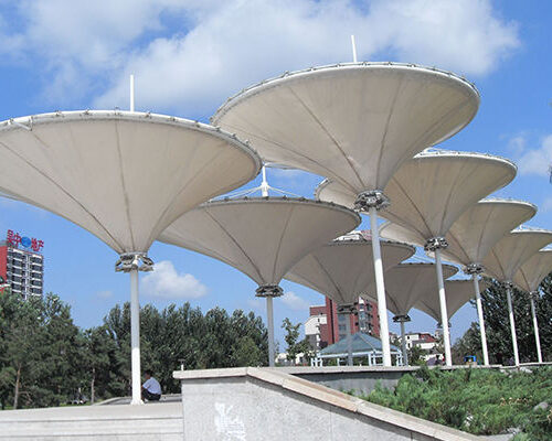 Membrane structure landscape