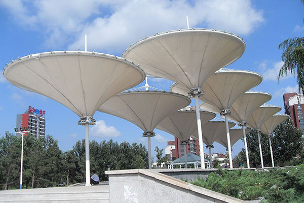 Membrane structure landscape